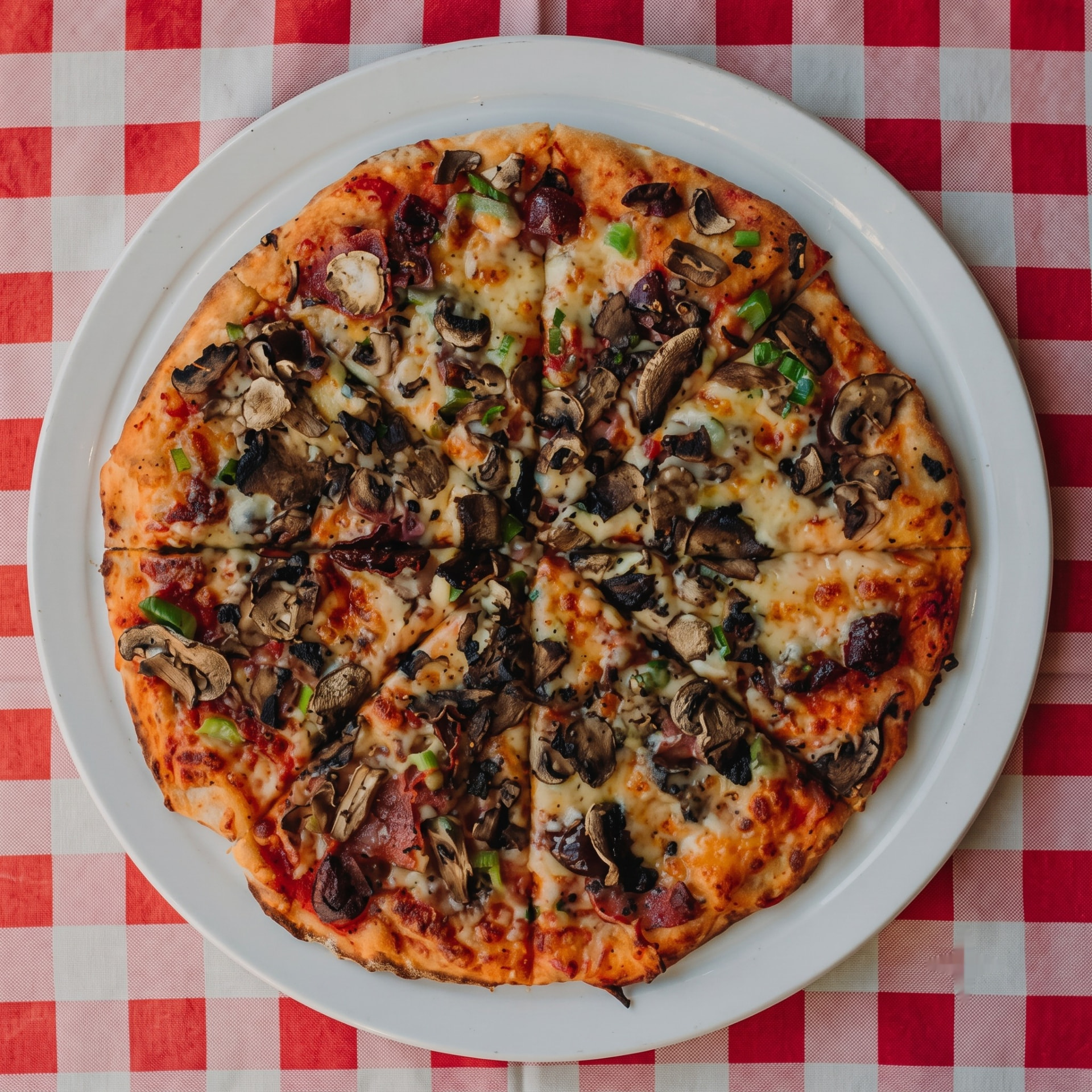 Four Seasons pizza with salami, olives, mushrooms and green peppers